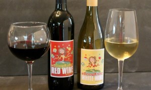 Mommy Juice Wine Tasting