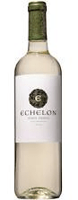 echelon pinot grigio