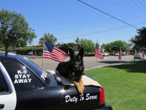 k9 duty to serve