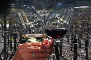 Benessere vineyard napa